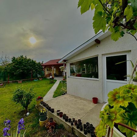 Casa Enka Hotell Tuzla Exteriör bild