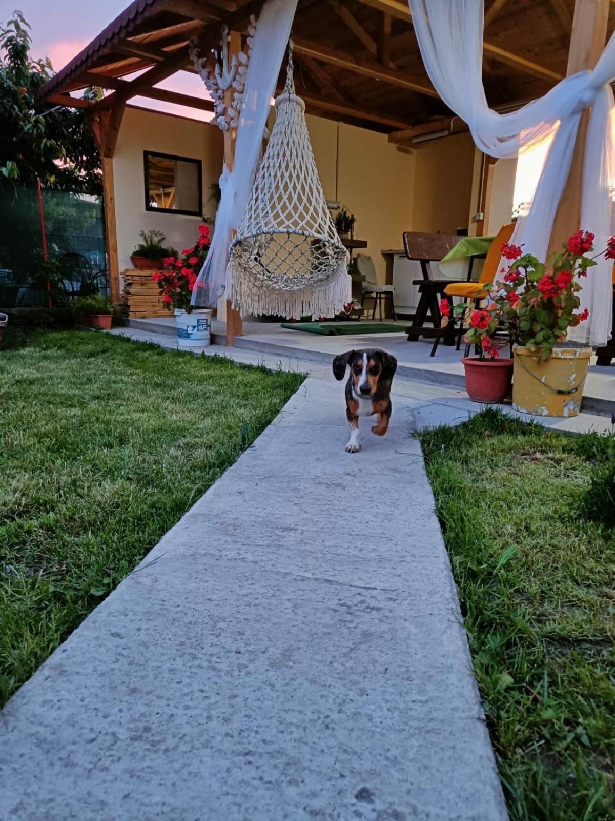 Casa Enka Hotell Tuzla Exteriör bild